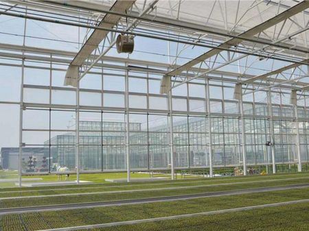 Vidro para estufa de jardim