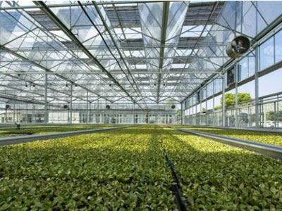 Vidro para estufa de jardim