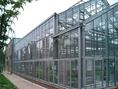 Vidro para estufa de jardim