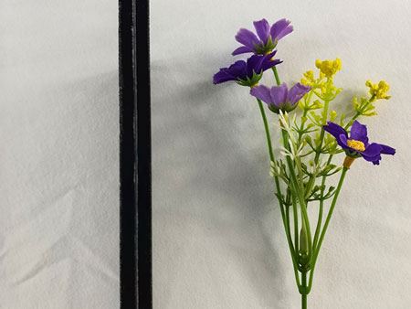 Vidro laminado colorido